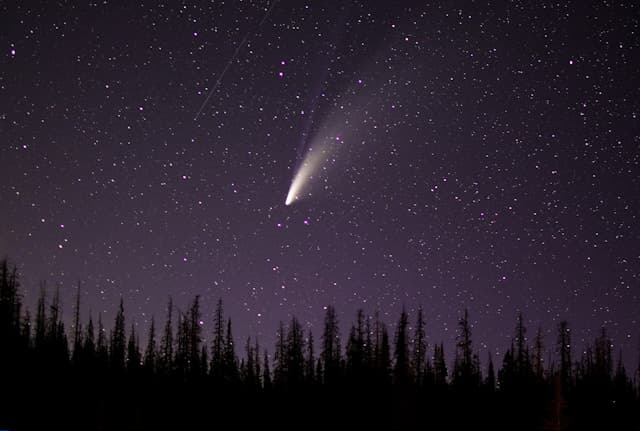 Comet 82P/Gehrels at Perihelion