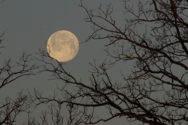 Pink Moon — Full Moon