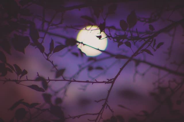 Sturgeon Moon — Full Moon